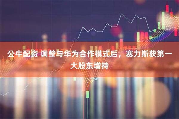 公牛配资 调整与华为合作模式后,赛力斯获第一大股东增持
