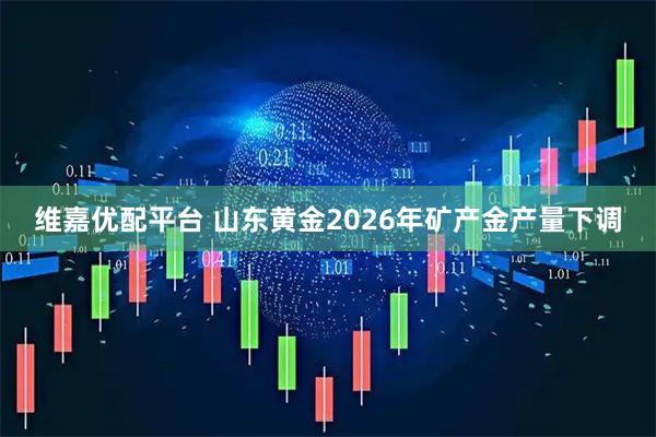 维嘉优配平台 山东黄金2026年矿产金产量下调