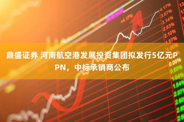 鼎盛证券 河南航空港发展投资集团拟发行5亿元PPN，中标承销商公布