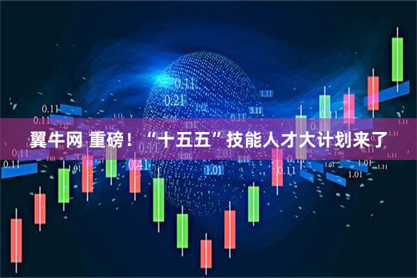 翼牛网 重磅!“十五五”技能人才大计划来了