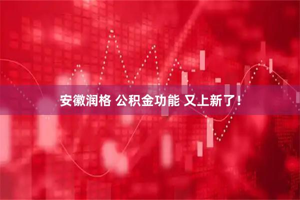 安徽润格 公积金功能 又上新了！