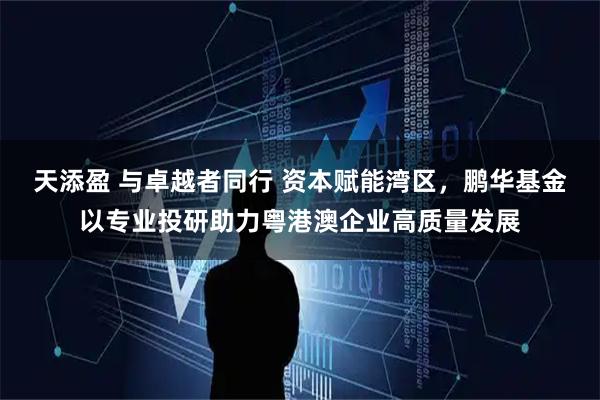 天添盈 与卓越者同行 资本赋能湾区，鹏华基金以专业投研助力粤港澳企业高质量发展