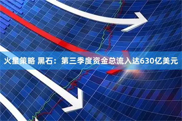 火星策略 黑石：第三季度资金总流入达630亿美元
