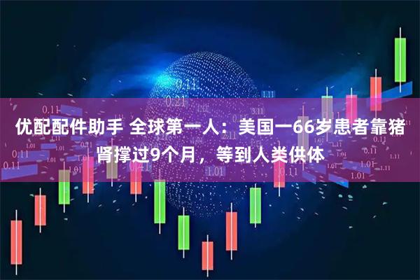 优配配件助手 全球第一人：美国一66岁患者靠猪肾撑过9个月，等到人类供体